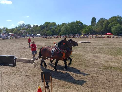 IMG_20260808_134518